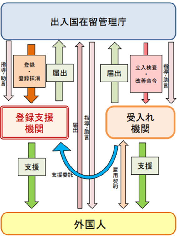 受入れ機関と登録支援機関